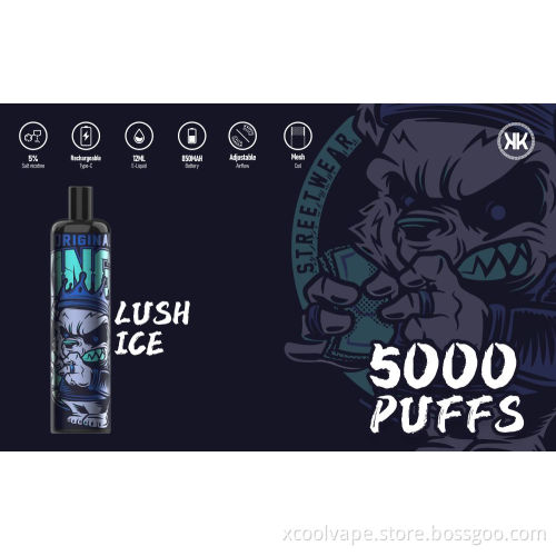 Russia hot Disposable Vape Pen 5000 puffs